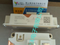 SKM300GA12T4SKM300GAR063D**